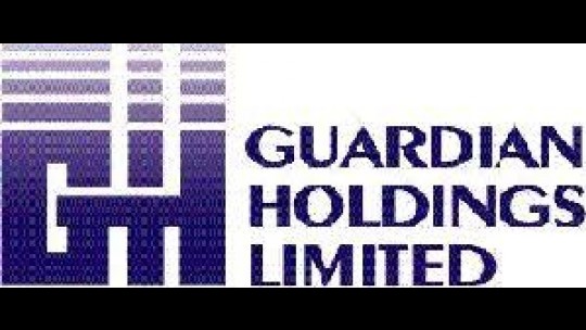 Guardian Holdings profit up