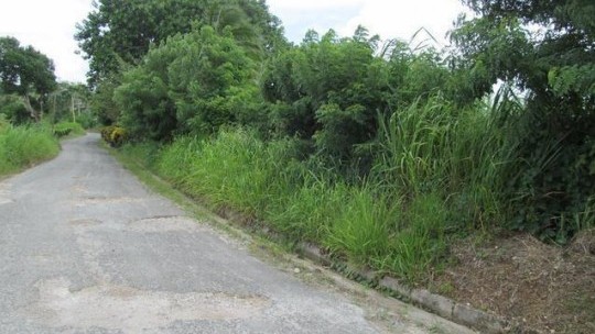 Parochial Roads In St. Ann To Be Fixed Shortly - Belnavis | RJR News ...