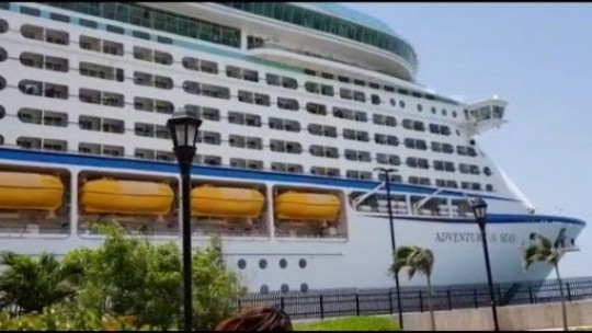 Final Batch Of Jamaicans Disembark Adventure Of The Seas Cruise Ship In ...