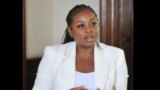 PNP takes issue with 'campaign-style' ads by government ministries