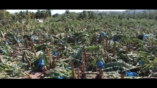 RADA urges eastern parishes to increase farm production