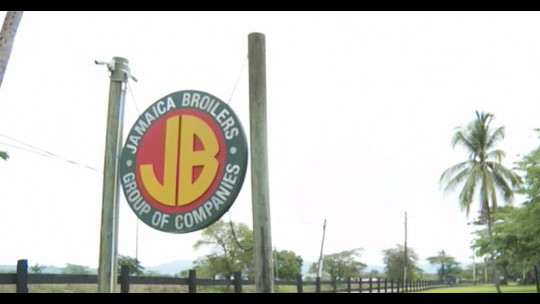 Jamaica Broilers narrows net asset deficit despite lower gross profit