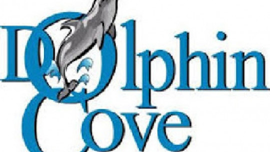 Dolphin Cove reports strong Q3 results as revenues up 8.9%