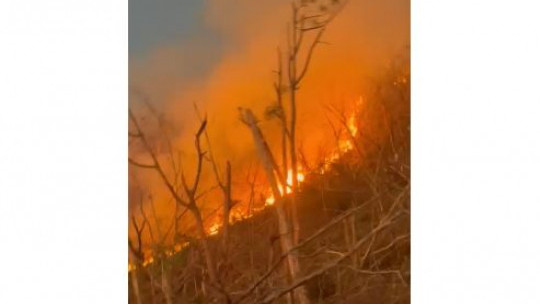 JFB Reports Sharp Rise In Fires Across Westmoreland | RJR News