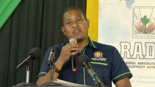 Agriculture sector's Hurricane Melissa bill expected to top $50b