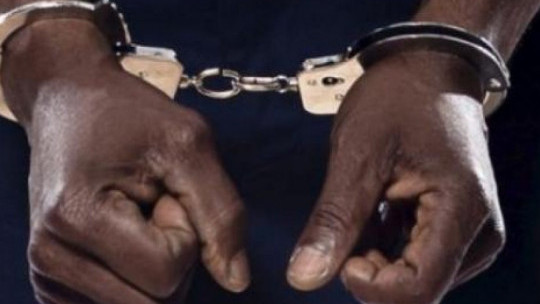 Jamaican man serving four-year sentence on multiple offences in the US