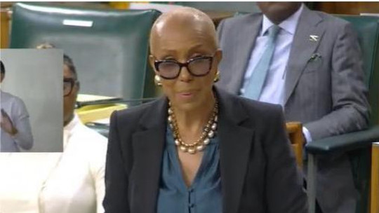 Digital Tax concerns raised