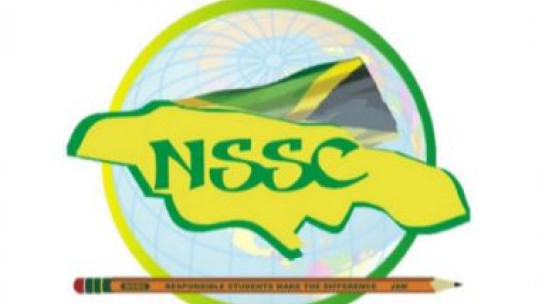 NSSC wants student councils to strengthen governance with formal constitutions