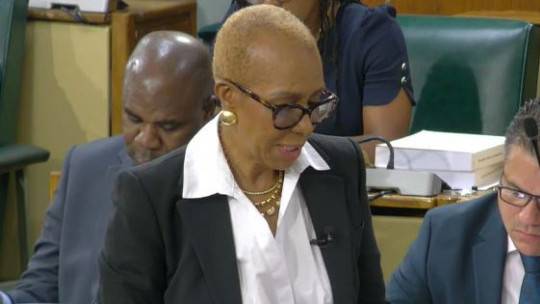 Finance Minister says NIR to provide buffer against global oil volatility