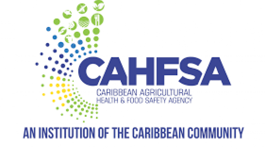 Initiative launched to develop Caribbean agricultural trade standards