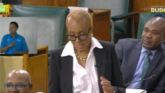 Finance Minister defends plan to impose tax on digital services