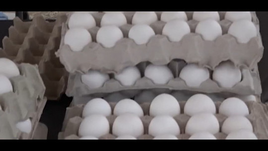 Agriculture Ministry to assess whether waiver on imported chicken, eggs still needed