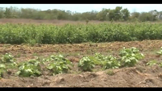 CDB approves additional US$12b to support Jamaica's SPAD project