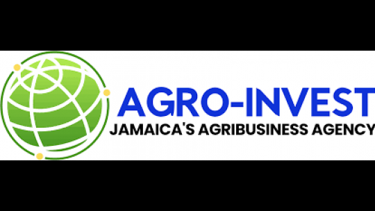 Agro-Invest touts linkage opportunities at AMC Farmers Market 2026