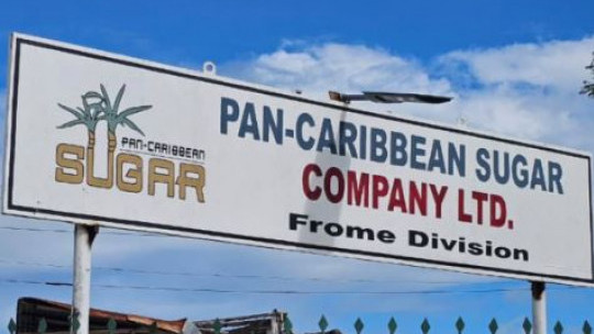 Pan-Caribbean Sugar pulling contaminated products from market