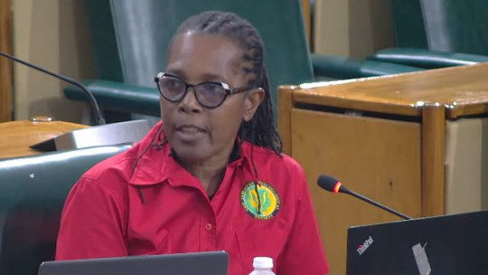 Call for psychological evaluation of children who contravene the law