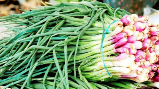 Scallion farmers' burden eased