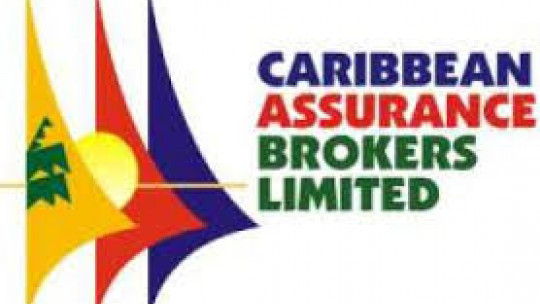 Caribbean Assurance Brokers asserts confidence despite recording loss in 2025