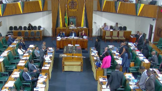 Tempers flare in Parliament amid questions over non-Jamaican deportees deal