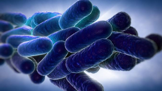 Cayman confirms a single case of Legionnaires' disease,