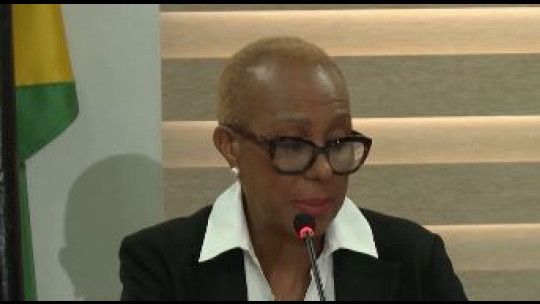 Finance Minister in favour of reimposing wage cap for public sector