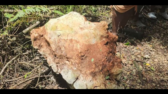One Of Three Children Struck By Boulder In St. Elizabeth Remains In A ...