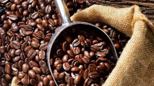 Production Of Blue Mountain Coffee At 25 Year Low | RJR News - Jamaican ...